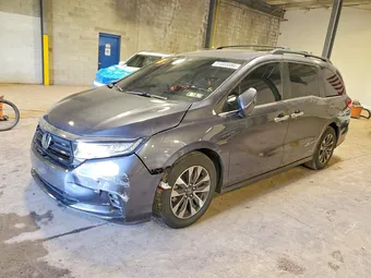 2022 Honda Odyssey 5FNRL6H71NB031866 Lot 51865886