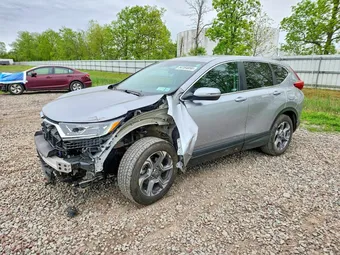 2019 Honda CR-V 2HKRW2H80KH629260 Lot 54164856