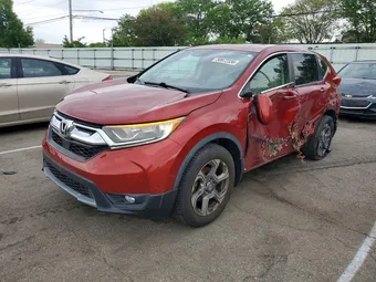 2019 Honda CR-V 5J6RW2H5XKL006384 Lot 50972336