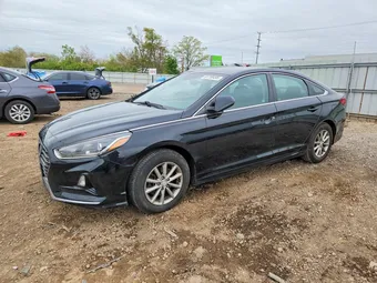 2019 Hyundai Sonata 5NPE24AF5KH736383 Lot 53759496