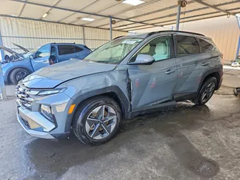 2025 Hyundai Tucson 5NMJBCDE2SH496556 Lot 56148696