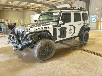 2016 Jeep Wrangler 1C4BJWEG7GL119994 Lot 53960446
