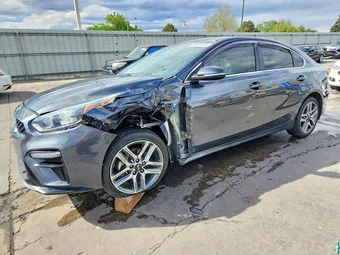 2019 Kia Forte 3KPF54AD2KE096230 Lot 50427706