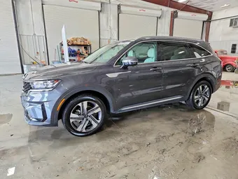 2023 Kia Sorento KNDRKDLG4P5181537 Lot 46759416