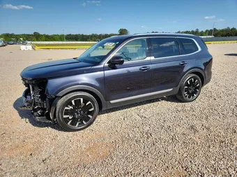 2025 Kia Telluride 5XYP5DGC7SG599337