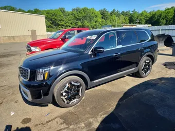 2025 Kia Telluride 5XYP6DGC5SG684495
