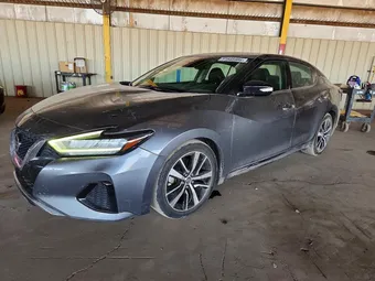 2021 Nissan Maxima 1N4AA6CV2MC511456