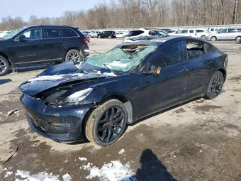 2019 Tesla Model 3 5YJ3E1EB2KF406509 Lot 46611136