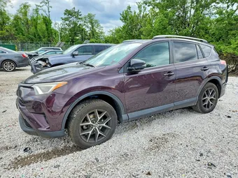 2016 Toyota RAV4 2T3JFREV1GW434803 Lot 53697546