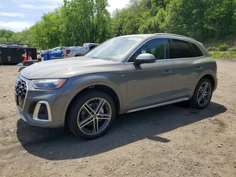 2023 Audi Q5 WA1E2AFYXP2111442 Lot 55533376