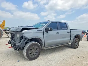 2024 Chevrolet Silverado 1500 3GCUDHE83RG198309 Lot 50813656