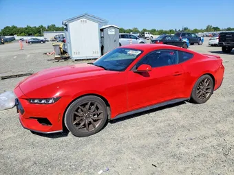 2024 Ford Mustang 1FA6P8TH9R5141807 Lot 51041936