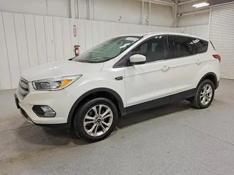 2019 Ford Escape 1FMCU9GD0KUB84989 Lot 52101846