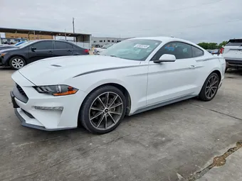 2019 Ford Mustang 1FA6P8TH8K5134577 Lot 52603146