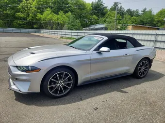 2019 Ford Mustang 1FATP8UH1K5205197 Lot 54515526