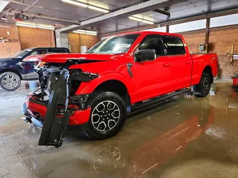 2023 Ford F-150 1FTFW1E82PKD18827 Lot 50245656