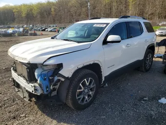 2020 GMC Acadia 1GKKNRLS6LZ238869 Lot 49319516