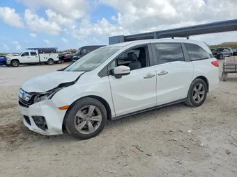 2020 Honda Odyssey 5FNRL6H77LB047910 Lot 79583265