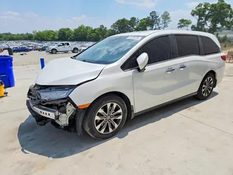 2022 Honda Odyssey 5FNRL6H7XNB045121 Lot 50784496