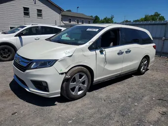 2019 Honda Odyssey 5FNRL6H73KB091126 Lot 55596576
