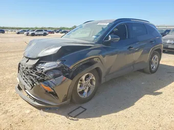 2023 Hyundai Tucson 5NMJB3AE9PH233069 Lot 46953376