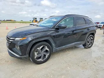 2022 Hyundai Tucson KM8JFCA12NU013033 Lot 46521706