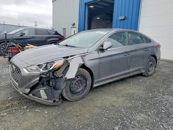 2018 Hyundai Sonata 5NPE34AF0JH698492 Lot 50077136