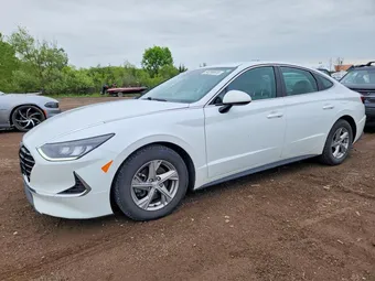 2020 Hyundai Sonata 5NPEG4JA4LH021036 Lot 54289976