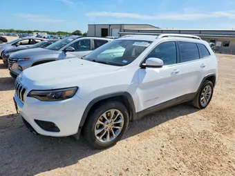 2019 Jeep Cherokee 1C4PJLLN2KD149316 Lot 54822656