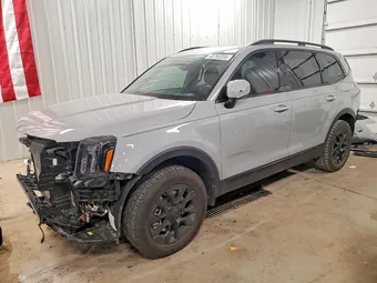 2025 Kia Telluride 5XYP5DGC9SG652393