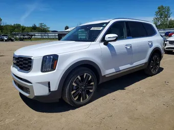 2024 Kia Telluride 5XYP5DGC6RG551211