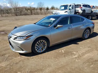 2019 Lexus ES 58ABZ1B15KU013014
