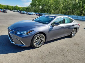 2019 Lexus ES 58ABZ1B18KU017719 Lot 51865496