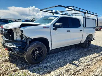 2020 Chevrolet Silverado 1500 1GCPYCEF8LZ165929 Lot 49971566