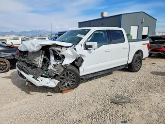 2022 Ford F-150 1FTEW1E81NFB36490 Lot 52838736