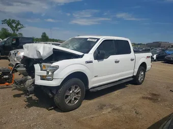 2016 Ford F-150 1FTEW1EG0GKE43845 Lot 52490396
