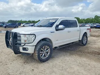 2015 Ford F-150 1FTEW1EG5FFA23991 Lot 49862616