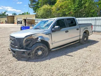 2015 Ford F-150 1FTEW1CP2FKD55056 Lot 51361076