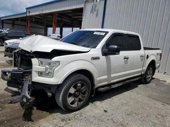 2015 Ford F-150 1FTEW1CF0FKE34409 Lot 52516616