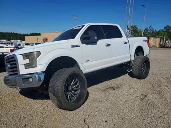 2015 Ford F-150 1FTEW1EG8FKF16913 Lot 53777946