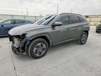 2025 Hyundai Tucson KM8JBDD12SU396559 Lot 52991586