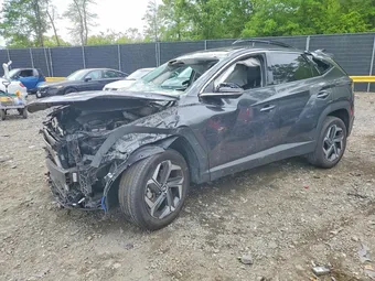 2022 Hyundai Tucson 5NMJECAE5NH009043 Lot 50531886