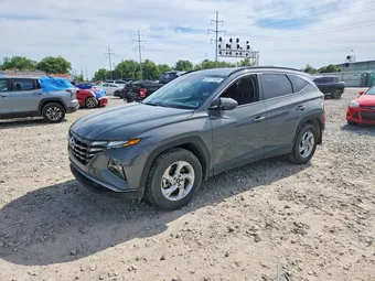 2024 Hyundai Tucson 5NMJBCDE7RH368954 Lot 53171526