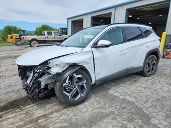 2024 Hyundai Tucson KM8JCCD10RU246046 Lot 51914466