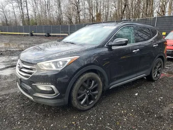 2017 Hyundai Santa Fe 5XYZW4LA1HG417134 Lot 79178785