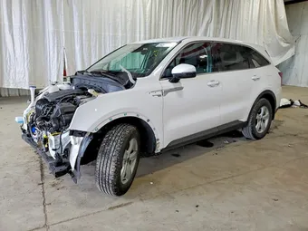 2025 Kia Sorento 5XYRG4JC6SG333948 Lot 54556846