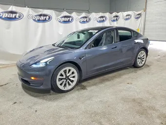 2023 Tesla Model 3 5YJ3E1EA4PF448369 Lot 55447216