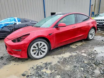 2023 Tesla Model 3 5YJ3E1EA4PF439008 Lot 54854666