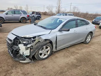 2020 Chevrolet Malibu 1G1ZB5ST5LF025959 Lot 50297446