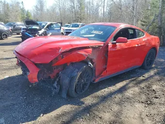 2017 Ford Mustang 1FA6P8TH8H5321262 Lot 51187596